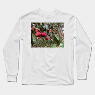 Apple Branch in the Apple Orchard Long Sleeve T-Shirt